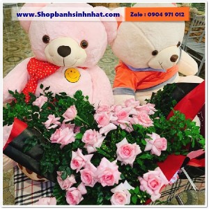 Gấu Bông Teddy Hàn Quốc - GAU34